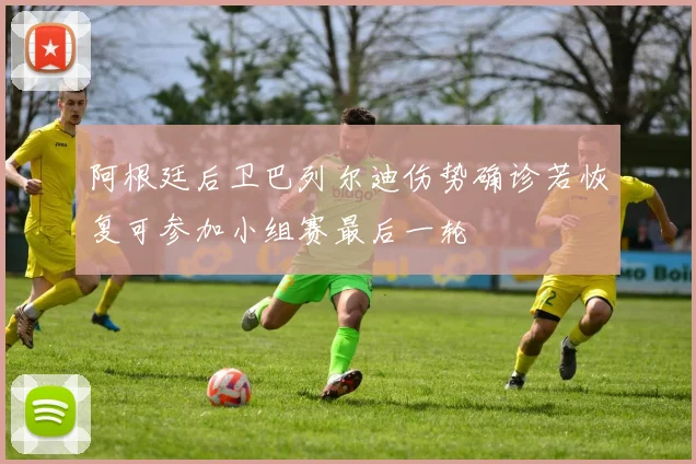 阿根廷后卫巴列尔迪伤势确诊若恢复可参加小组赛最后一轮